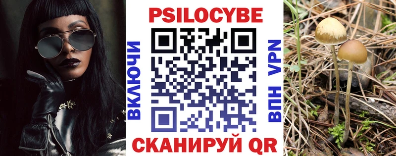 площадка Telegram  Бузулук  Псилоцибиновые грибы ЛСД  закладки  kraken  